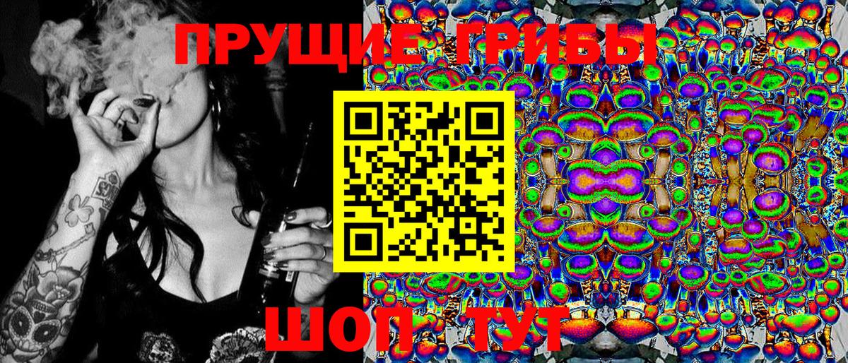 Галлюциногенные грибы Psilocybe Мурино