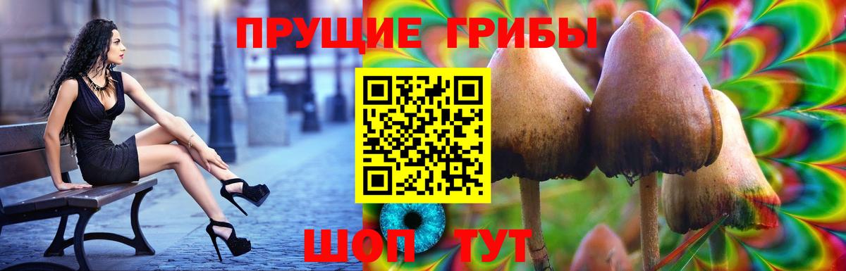 цена   Вход с VPN  Мурино  Галлюциногенные грибы Magic Shrooms 